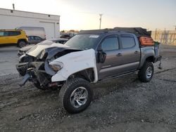 Toyota salvage cars for sale: 2019 Toyota Tacoma Double Cab