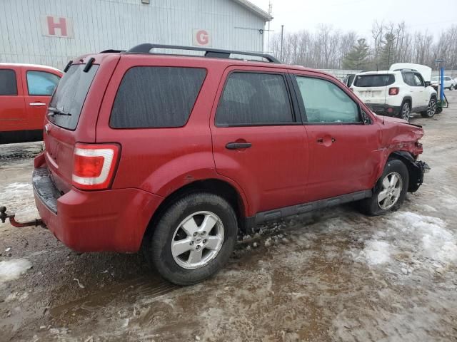 2011 Ford Escape XLT