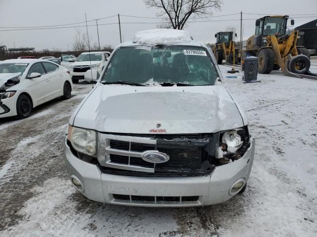 2010 Ford Escape Limited