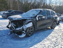 Ford Escape st Vehiculos salvage en venta: 2024 Ford Escape ST Line