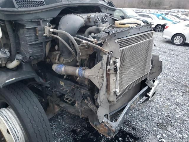 2013 Freigliner Cascadia 113