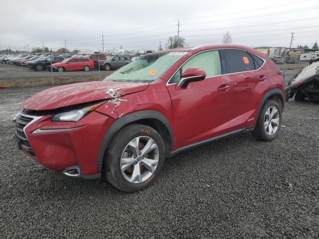 2017 Lexus NX 300H