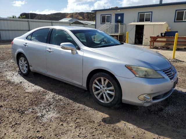 2010 Lexus ES 350