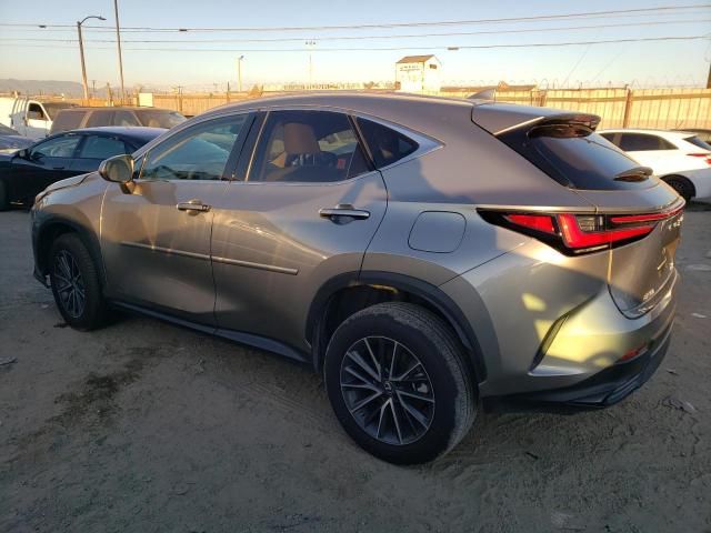 2023 Lexus NX 250