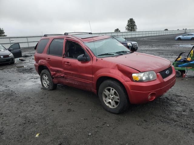 2005 Ford Escape Limited