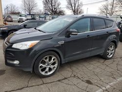 Ford Escape salvage cars for sale: 2014 Ford Escape Titanium