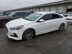 Hyundai Sonata salvage cars for sale: 2018 Hyundai Sonata SE