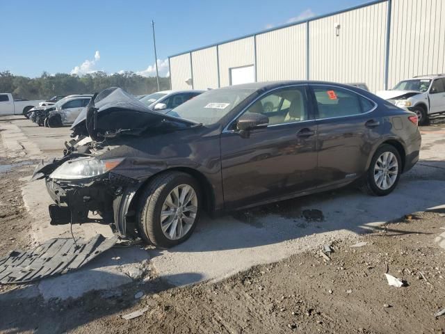 2013 Lexus ES 300H