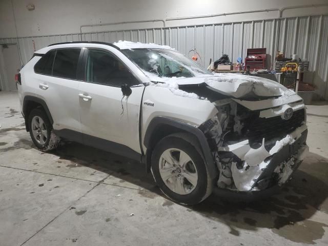 2019 Toyota Rav4 XLE