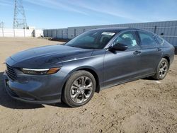 Honda Accord salvage cars for sale: 2024 Honda Accord EX