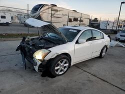 Nissan Maxima salvage cars for sale: 2005 Nissan Maxima SE