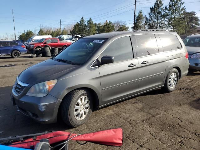 2008 Honda Odyssey EX