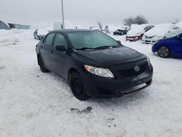 2009 Toyota Corolla Base