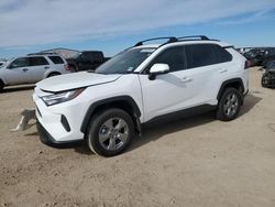 Salvage cars for sale from Copart Amarillo, TX: 2023 Toyota Rav4 XLE