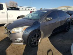 Ford Focus salvage cars for sale: 2013 Ford Focus SE