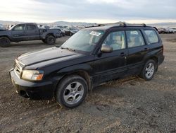 Subaru salvage cars for sale: 2004 Subaru Forester 2.5XS