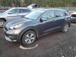 KIA salvage cars for sale: 2019 KIA Niro EX