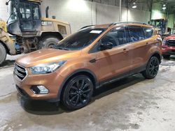 Ford Escape salvage cars for sale: 2017 Ford Escape SE