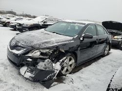 Toyota Camry salvage cars for sale: 2011 Toyota Camry SE