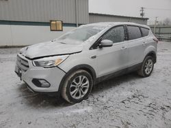 Salvage cars for sale from Copart Leroy, NY: 2019 Ford Escape SE