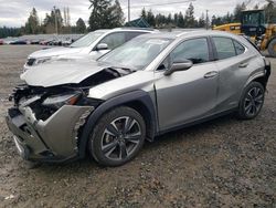 Lexus salvage cars for sale: 2021 Lexus UX 250H