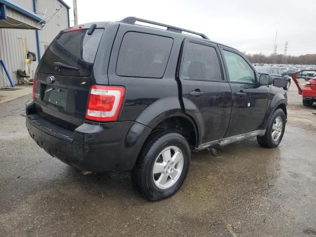 2009 Ford Escape XLT