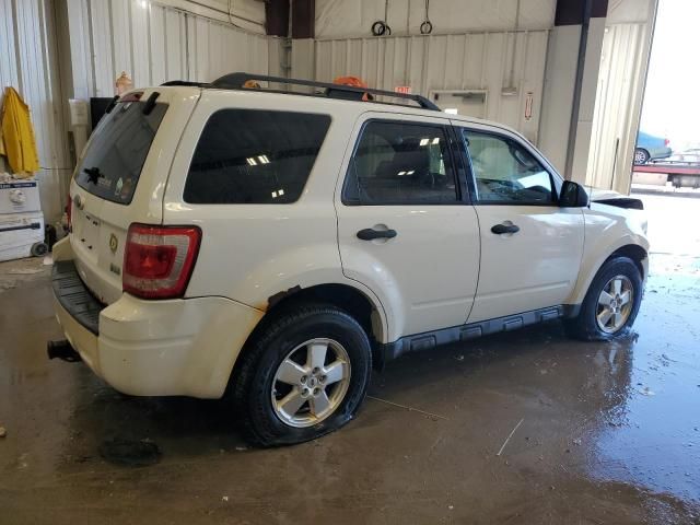 2010 Ford Escape XLT