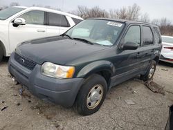 Vehiculos salvage en venta de Copart Woodhaven, MI: 2003 Ford Escape XLS