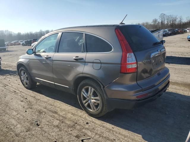 2010 Honda CR-V EXL