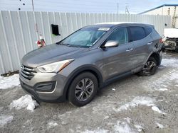 Hyundai Santa fe salvage cars for sale: 2016 Hyundai Santa FE Sport