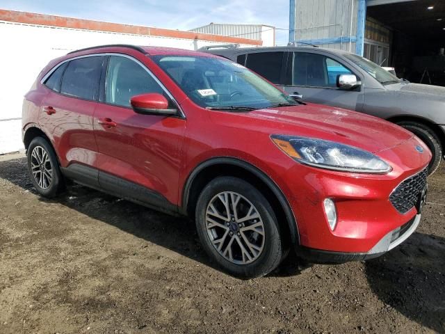 2021 Ford Escape SEL