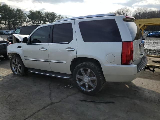 2010 Cadillac Escalade Luxury