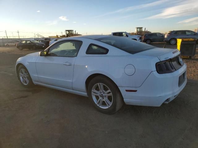 2014 Ford Mustang