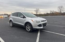 Ford salvage cars for sale: 2016 Ford Escape SE