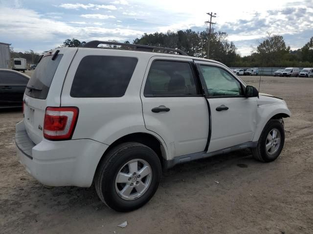 2010 Ford Escape XLT