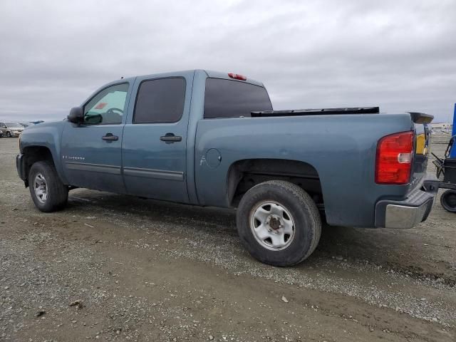 2009 Chevrolet Silverado C1500