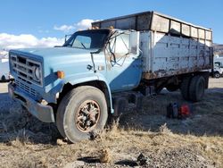 GMC c/k/r7500 salvage cars for sale: 1982 GMC C7000 C7D042