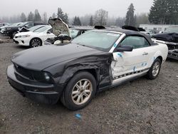 Ford Mustang salvage cars for sale: 2006 Ford Mustang