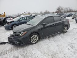 Toyota Corolla salvage cars for sale: 2020 Toyota Corolla SE