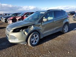 Ford Escape salvage cars for sale: 2014 Ford Escape SE