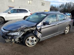 Honda Accord salvage cars for sale: 2016 Honda Accord EX