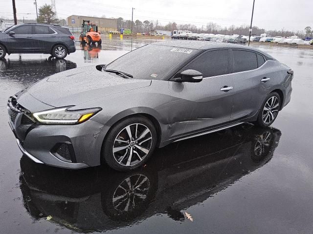 2023 Nissan Maxima SV