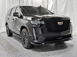 Cadillac salvage cars for sale: 2023 Cadillac Escalade V Sport