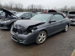 Toyota Camry Sola salvage cars for sale: 2008 Toyota Camry Solara SE