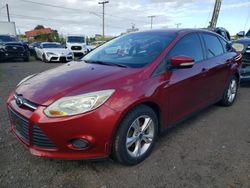 Ford Focus salvage cars for sale: 2013 Ford Focus SE