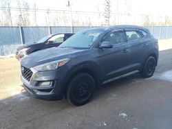 Hyundai salvage cars for sale: 2019 Hyundai Tucson Limited