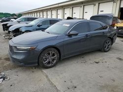 2024 Honda Accord EX for sale in Louisville, KY