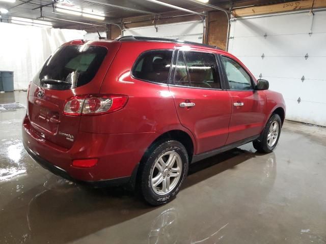 2010 Hyundai Santa FE GLS