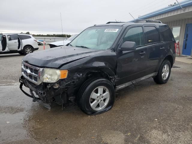 2009 Ford Escape XLT