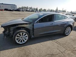 Tesla Model 3 salvage cars for sale: 2019 Tesla Model 3